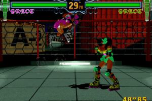 Fighting Vipers abandonware