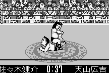 Shin Nihon Pro-Wrestling: Tōkon Retsuden abandonware