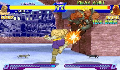 Street Fighter Alpha: Warriors' Dreams abandonware