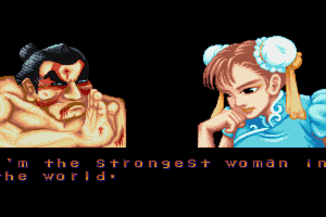 Street Fighter II 9